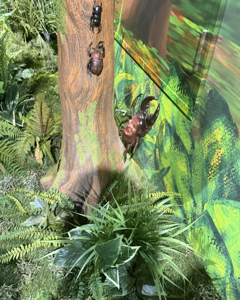 A Kobito shaped like a stag beetle on a tree trunk next to real-looking beetles
