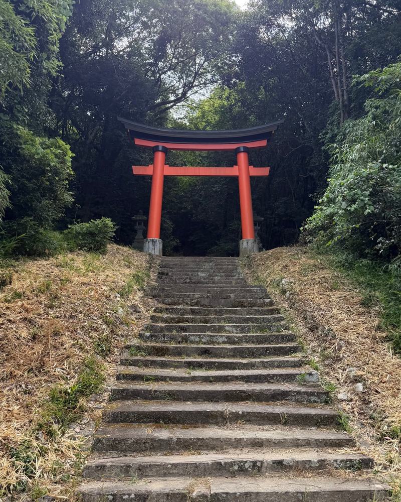 A red torii at the top of old stone steps in the forest